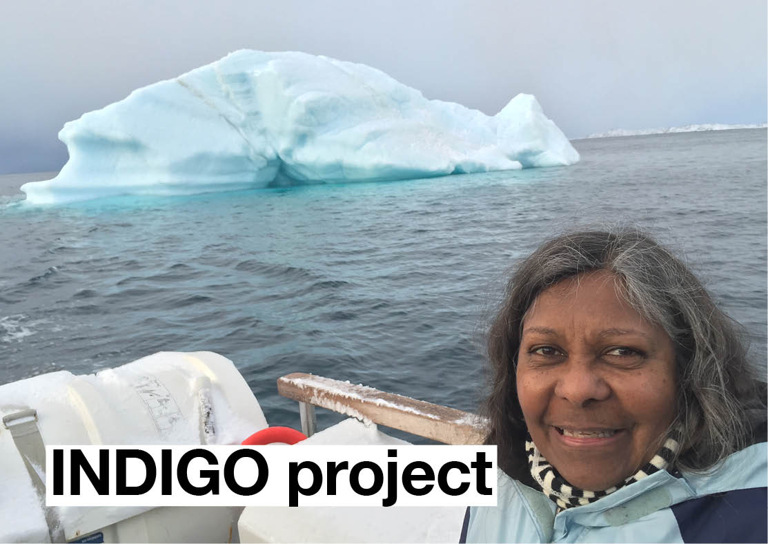 INDIGO Project